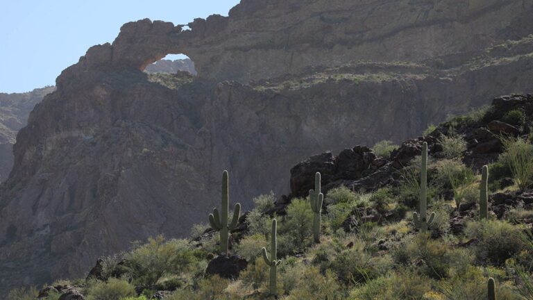 Border Patrol rescue 4-month-old, 18-month-old deserted by smugglers in desert: ‘That is cruelty’