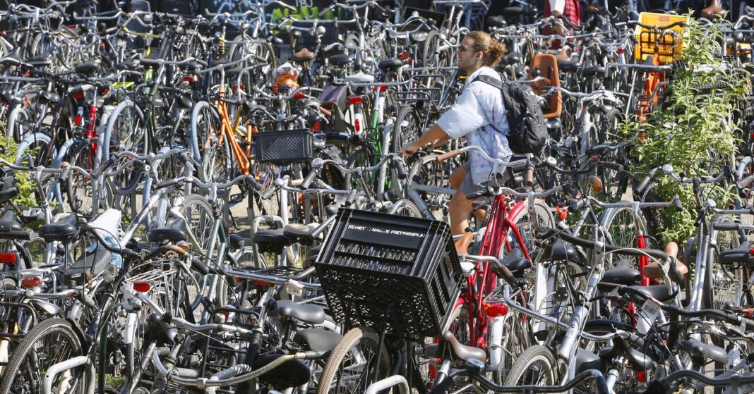 Here’s What Happens When Countries Use Bikes to Fight Emissions