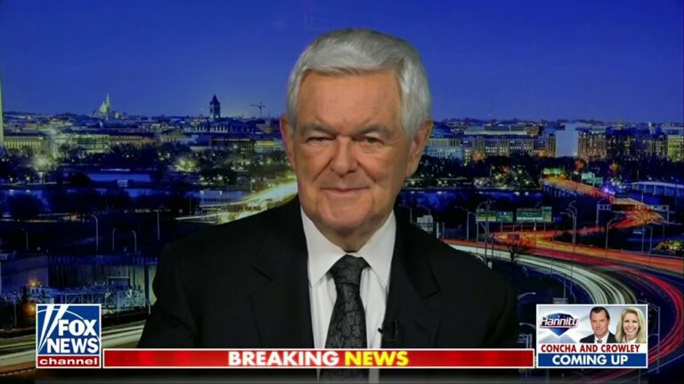 Newt Gingrich: These candidates have a historical past of reckless rhetoric