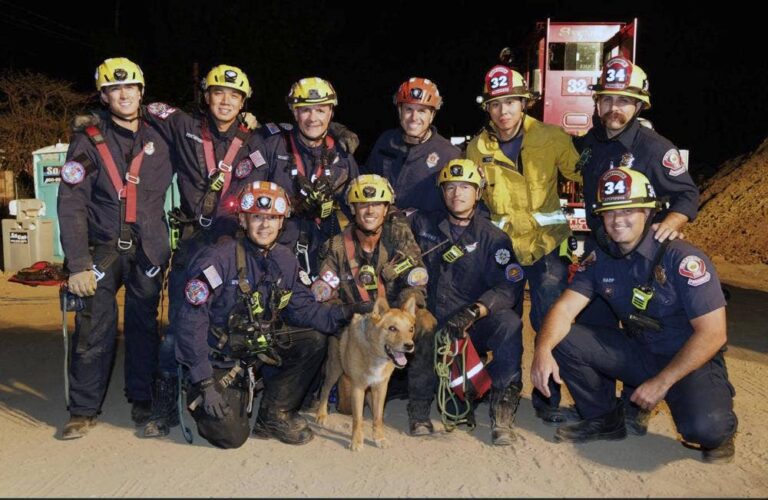 California firefighters rescue blind dog that fell inside 15-foot hole at construction site