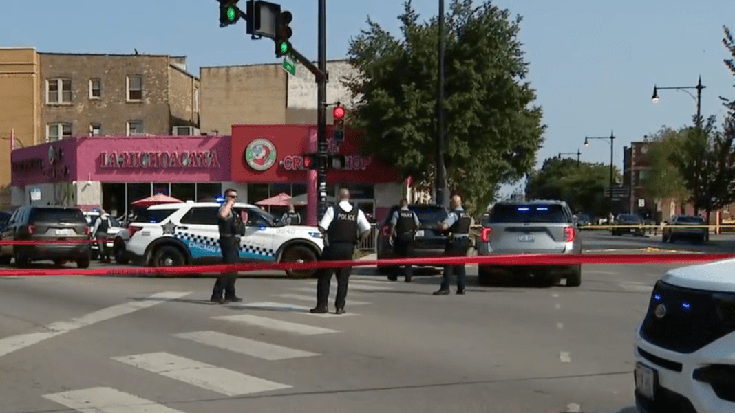 Chicago armed car thief, 13, shot by licensed gun owner; 29 more wounded in weekend violence, cops say