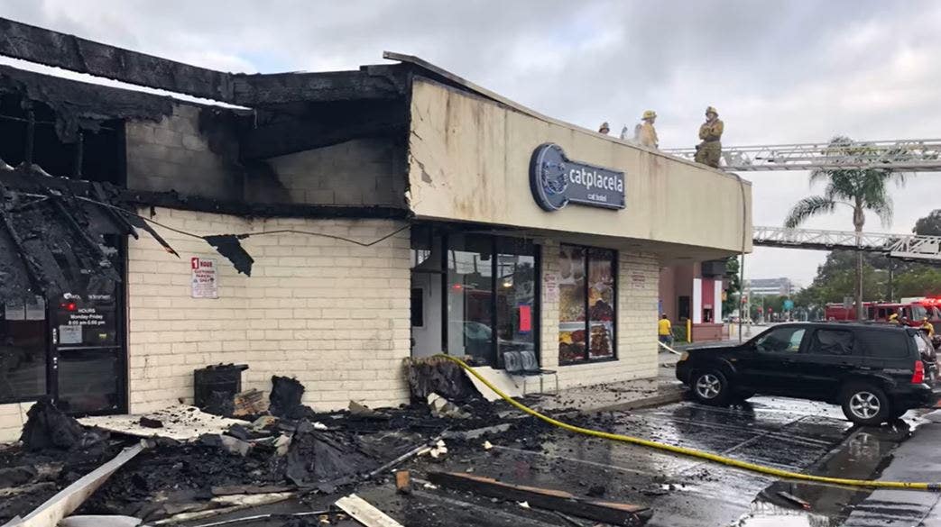 Firefighter injured, 17 cats killed in massive blaze at California strip mall