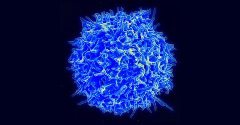 How a ‘Living Drug’ Could Treat Autoimmune Disease