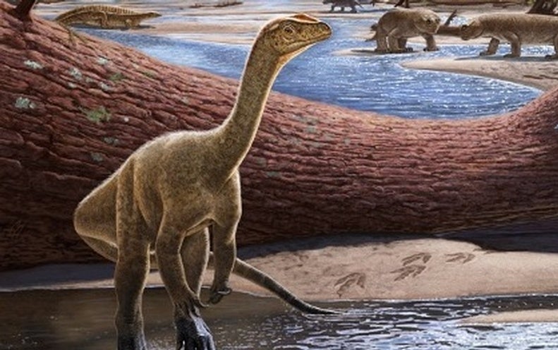 New Dinosaur Species Is Oldest Ever Found in Africa