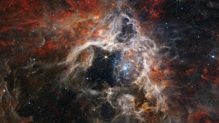 New James Webb House Telescope picture of child stars in Tarantula Nebula