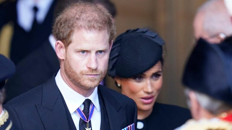Pressure builds on Prince Harry as the people of Sussex petition to remove his and Meghan’s titles