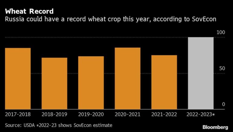 Russia’s Massive 100 Million-Ton Wheat Crop Piles Up at Home