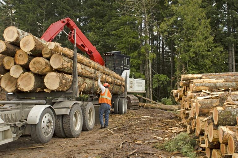 Shocked by gas bills, thrifty Dutch stockpile coal, wood for winter By Reuters