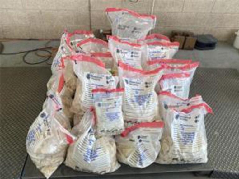 Texas border officials seize more than 266 pounds of meth at US-Mexico bridge