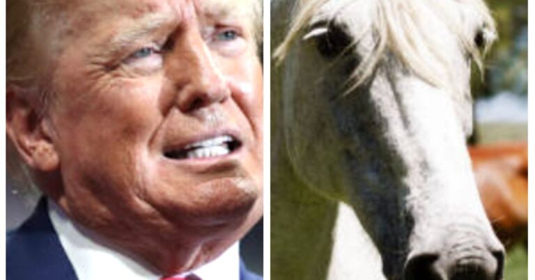 Trump Tried To Pay Lawyer With Horse, Upcoming E-book Says