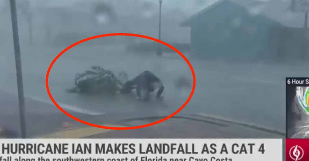 Weather Channel's Jim Cantore Knocked Over By Tree Branch During Live Storm Report