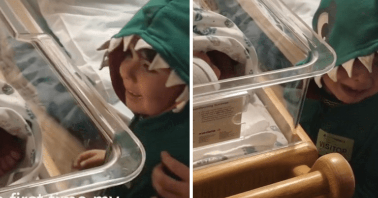 Witness Pure Love As This Little Boy Meets His Baby Brother For The First Time