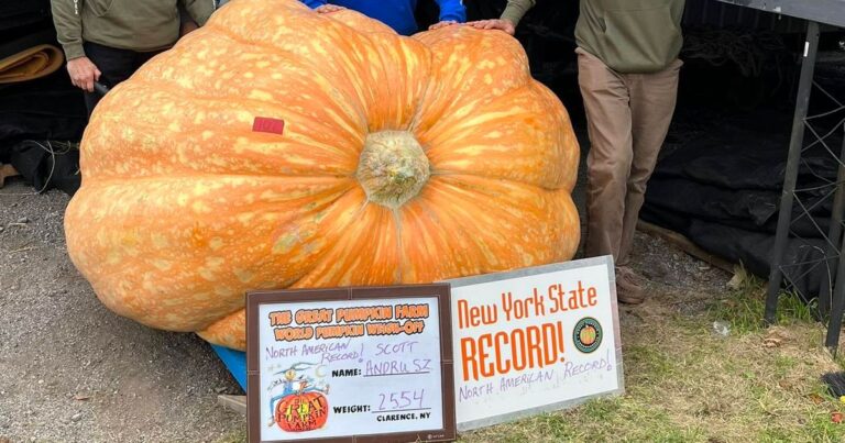 2,500-Pound Pumpkin Beats Record For Heaviest Gourd In North America