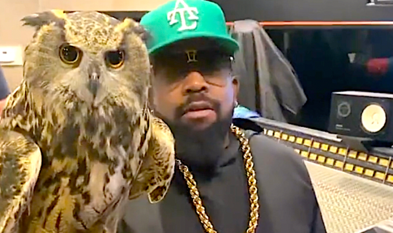 Big Boi Brings His Pet Owl to the Studio