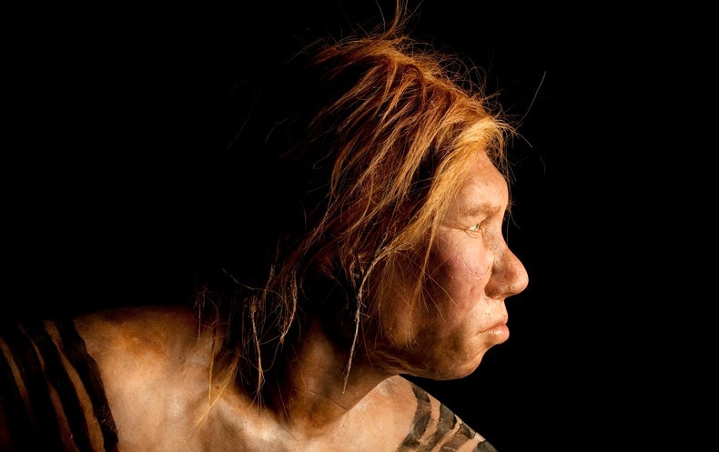 First Known Neandertal Family Discovered in Siberian Cave