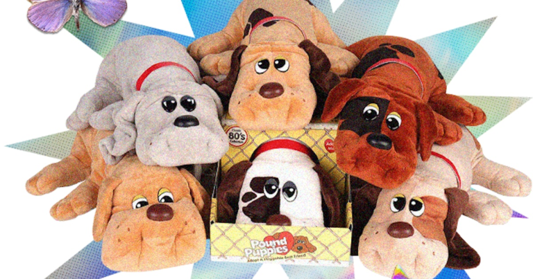 How Pound Puppies Got Their Start, & Where They Are Now