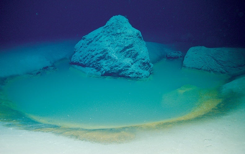 Rare Red Sea Brine Pool Holds Secrets of Past Natural Disasters