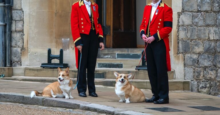 Sarah Ferguson Shares Update On Queen Elizabeth’s Beloved Corgis