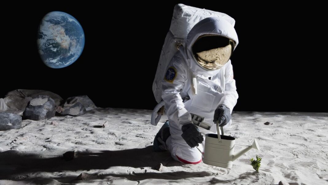 person in spacesuit with watering can on grey surface with Earth in the distance