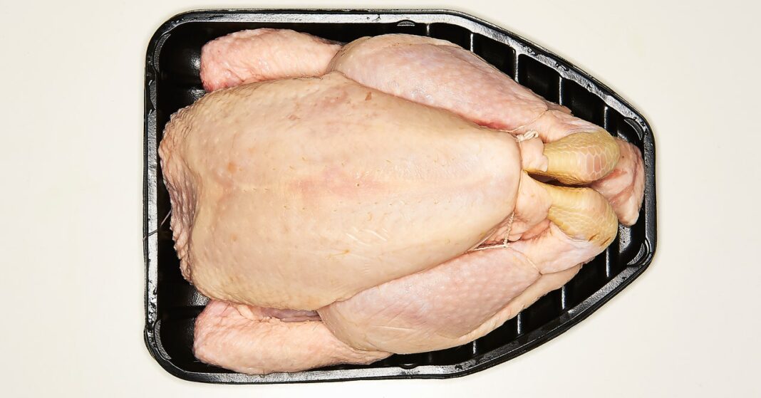 The US Is Finally Considering Protections Against Salmonella