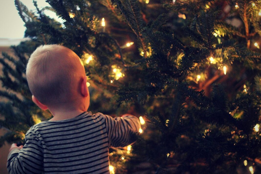 10 Special Family Christmas Traditions to Start This Year