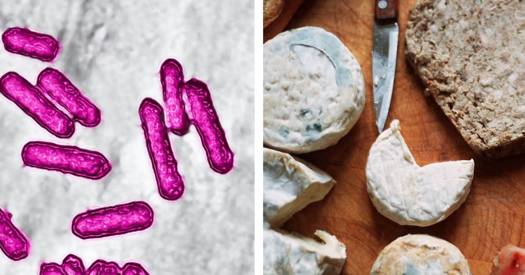 A Deadly Outbreak Of Listeria In Six States Has Been Linked To Deli Meat and Cheese