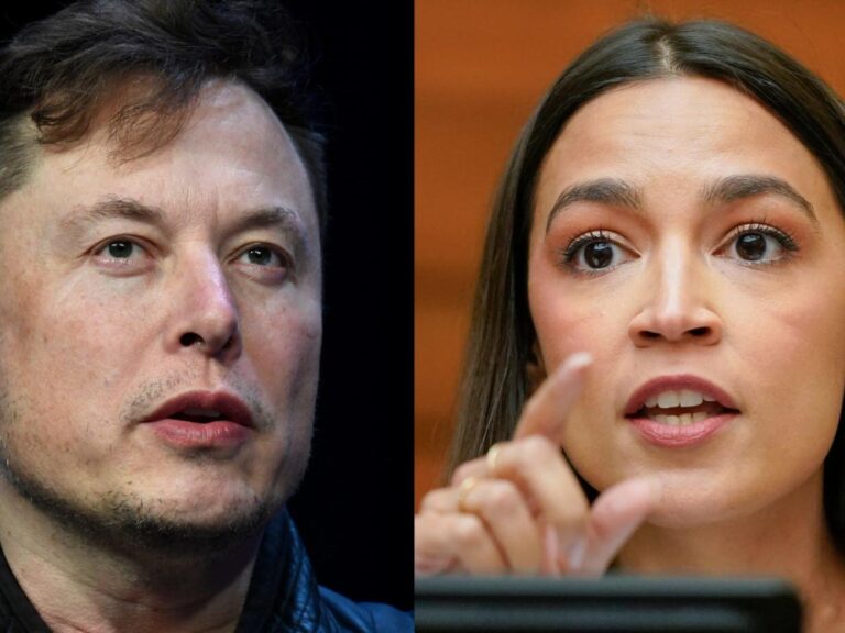 Elon Musk told Mark Ruffalo not everything AOC says is accurate after the actor begged him to get off Twitter following criticism from the lawmaker