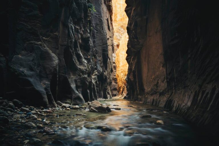 Hiker dies in Zion National Park while her husband tries to get her help, rangers say