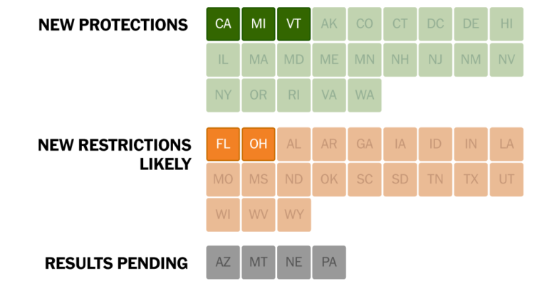 Midterms Mattered Most for Abortion Access in These States