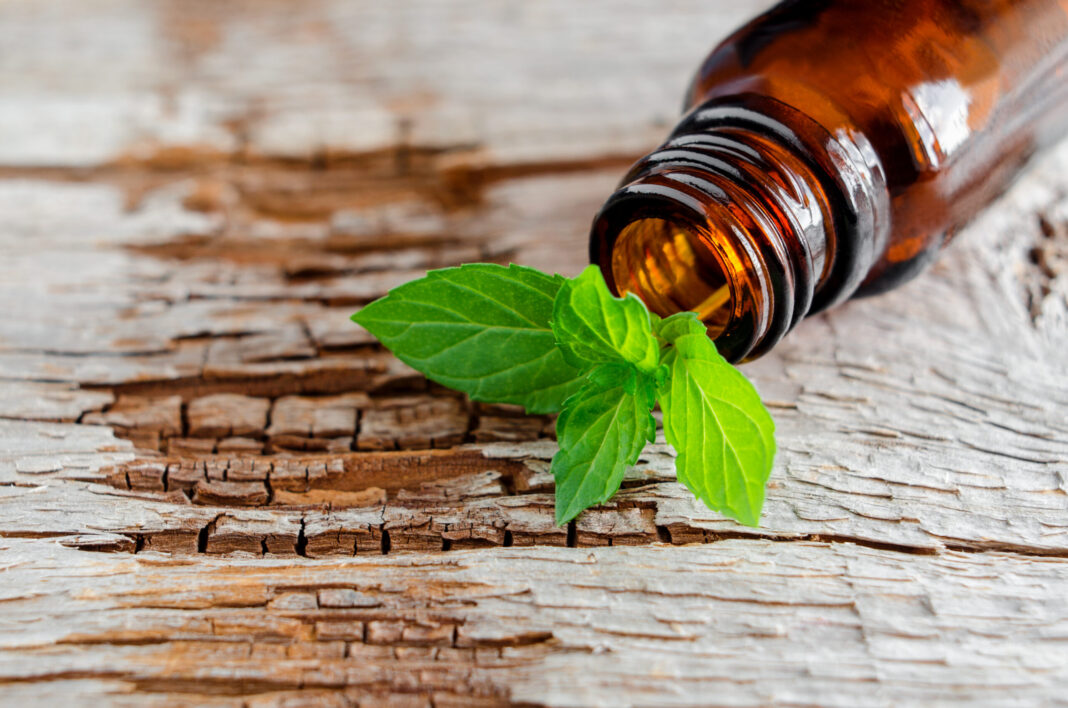 Small glass bottle on an old wooden background and fresh mint leaves. 