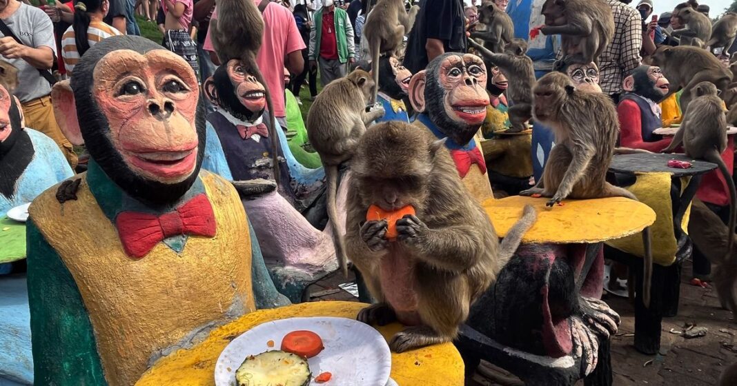 Thousands Of Monkeys Celebrate Feast Day In Central Thailand — And It’s ...