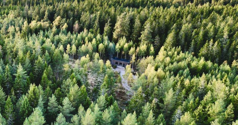 Lessons learned after living in an InForest off-grid rental