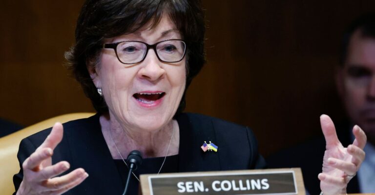 Sen. Susan Collins Is Trying To Block Stricter Rules Protecting Endangered Whales