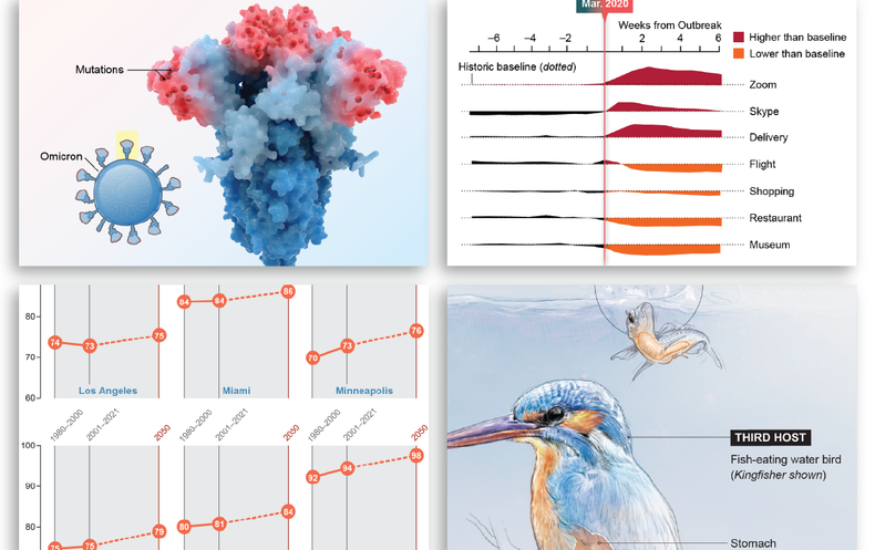 The Most Compelling Science Graphics of 2022