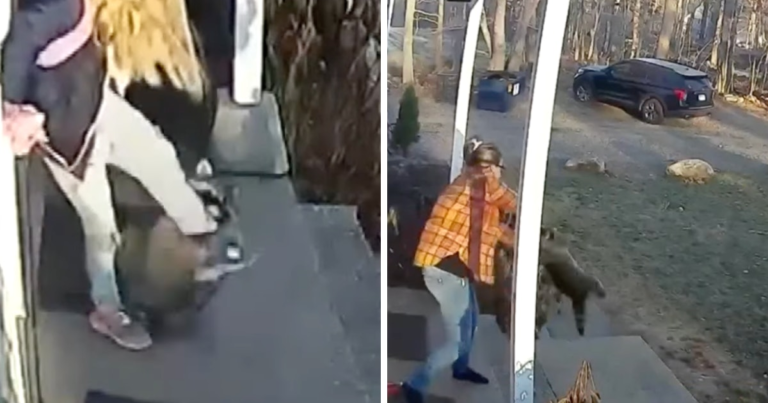 Watch This Fierce Mom Take On A Raccoon That Was Attacking Her Kid