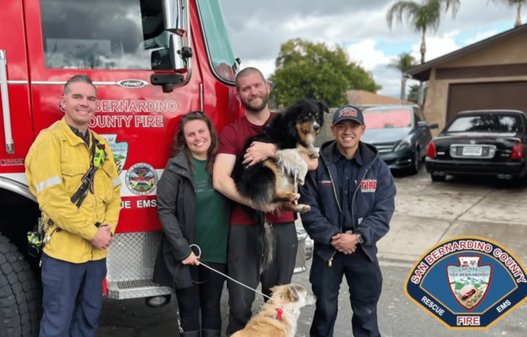 AirTag saves dog caught in California flooding