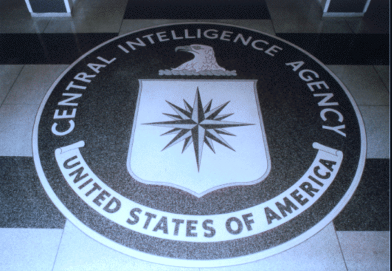 CIA Plans To Stop Lawsuit Over Spying On Assange Visitors