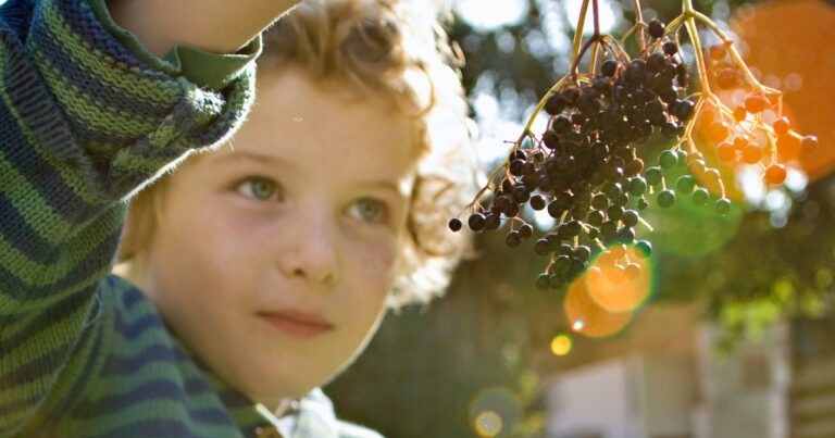 Does Elderberry Syrup Work? We Asked An Urgent Care Pediatrician