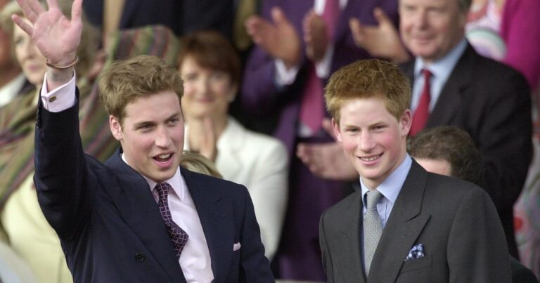 Prince Harry Says The Public Felt The Need To ‘Parent’ Him And Prince William After Diana’s Death