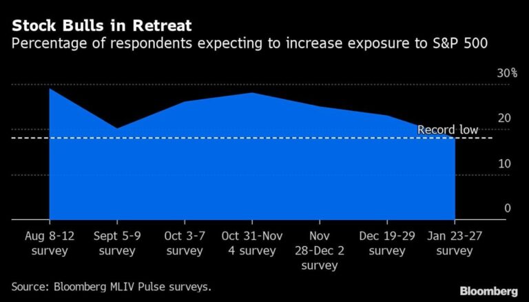 Stocks Are Poised to Hit New Lows This Year, Survey of Investors Shows