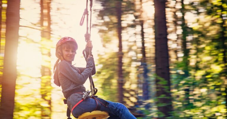 The 8 Best Zip Line Kits