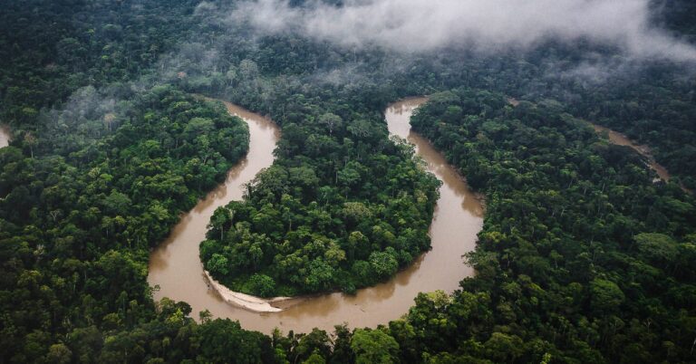 A Looming El Niño Could Dry the Amazon