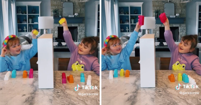 ‘Telepathic’ Twins Repeatedly Pick The Same Colored Blocks In Fun Video