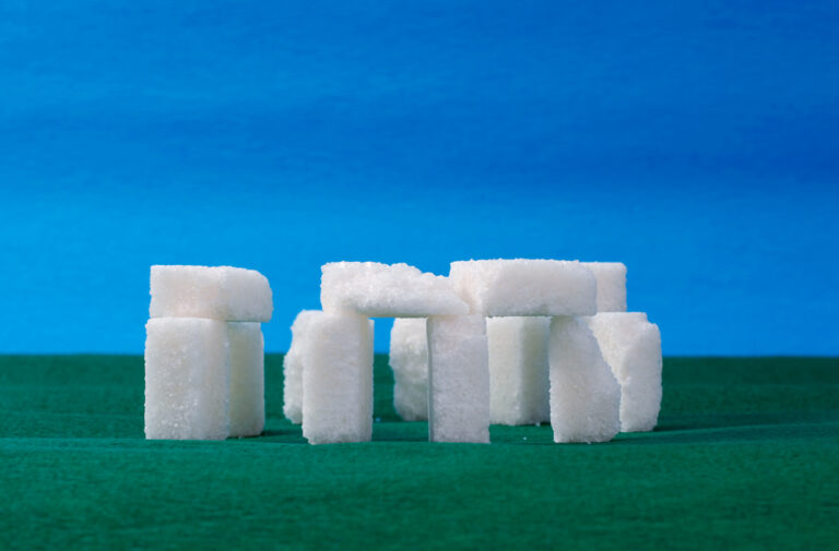 What the Stonehenge Builders Liked to Eat