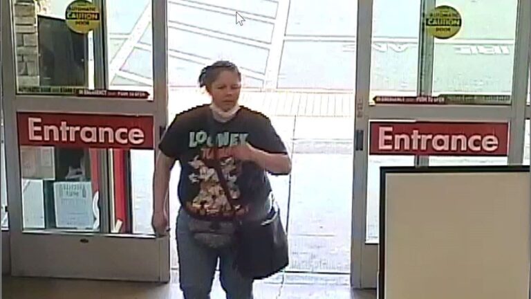 California woman in ‘Looney Tunes’ shirt suspected of robbing grocery store: police