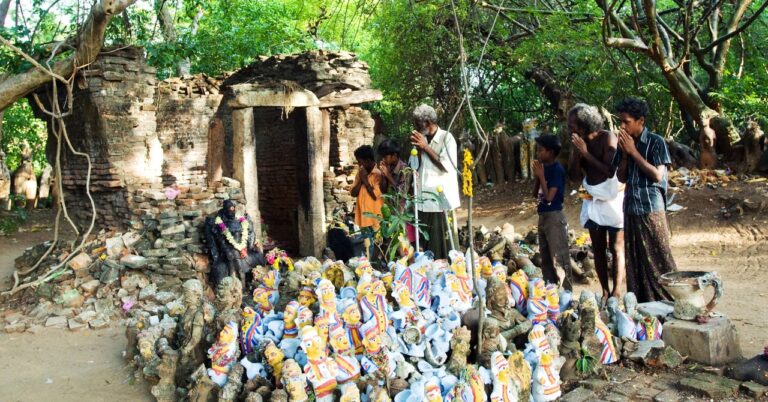 India’s Sacred Groves Are Resurrecting a Vanishing Forest