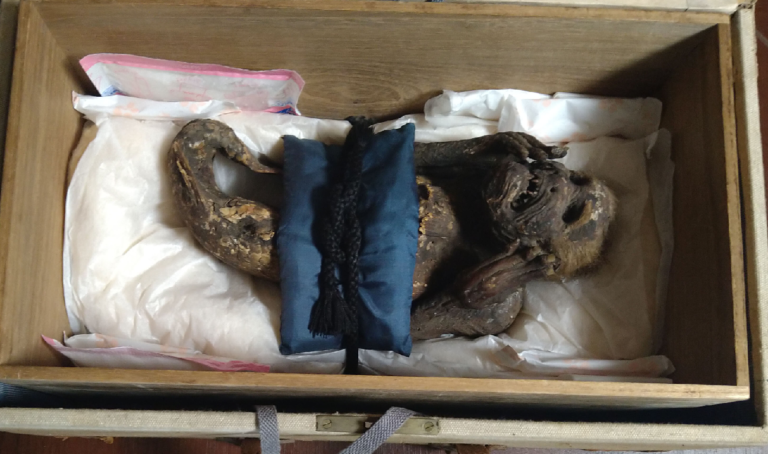 Mermaid Mummy Revealed to Be Paper Mache