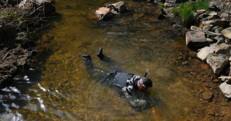 After California’s Heavy Rains, Gold Seekers Are Giddy