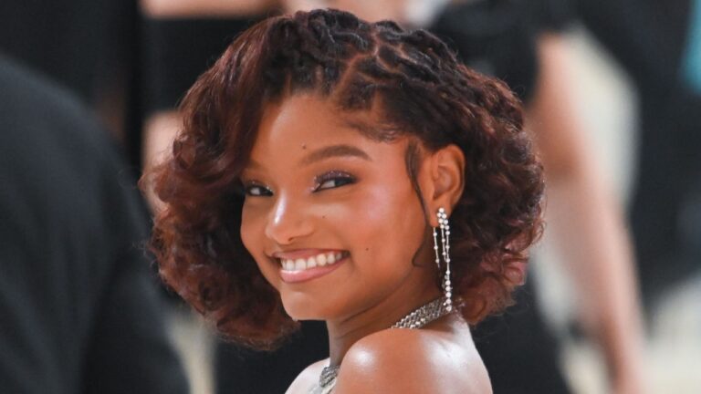 Halle Bailey’s Met Gala Hair Is Straight, But It’s Locs… But It’s Straight? — See Photos