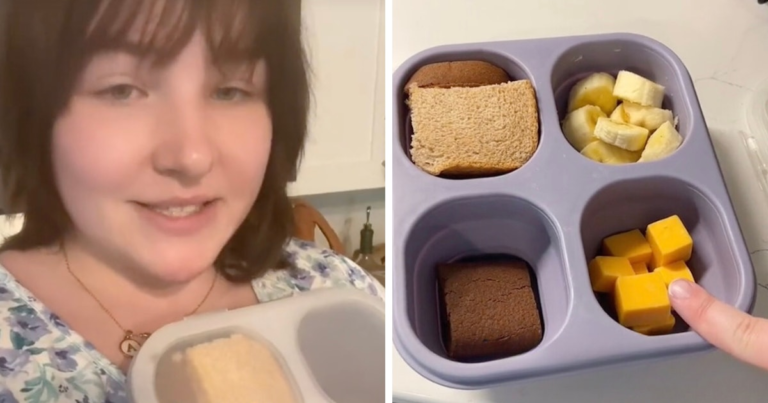 Mom Packs Separate Meal From Home For Her Kid When Dining Out